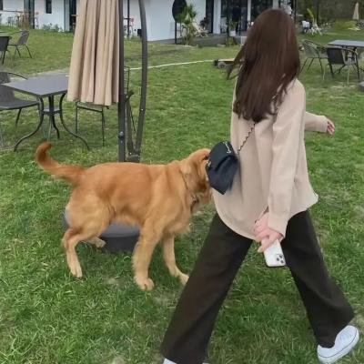 绑架练习曲