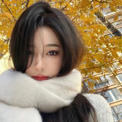 登陆月球