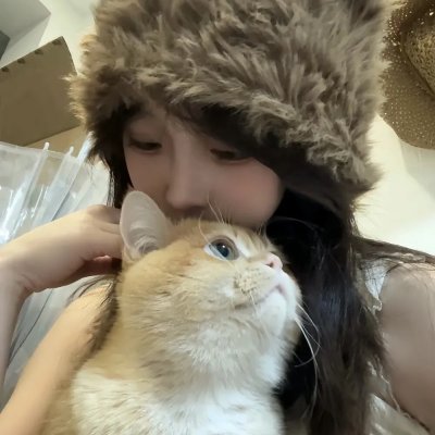 太阳花